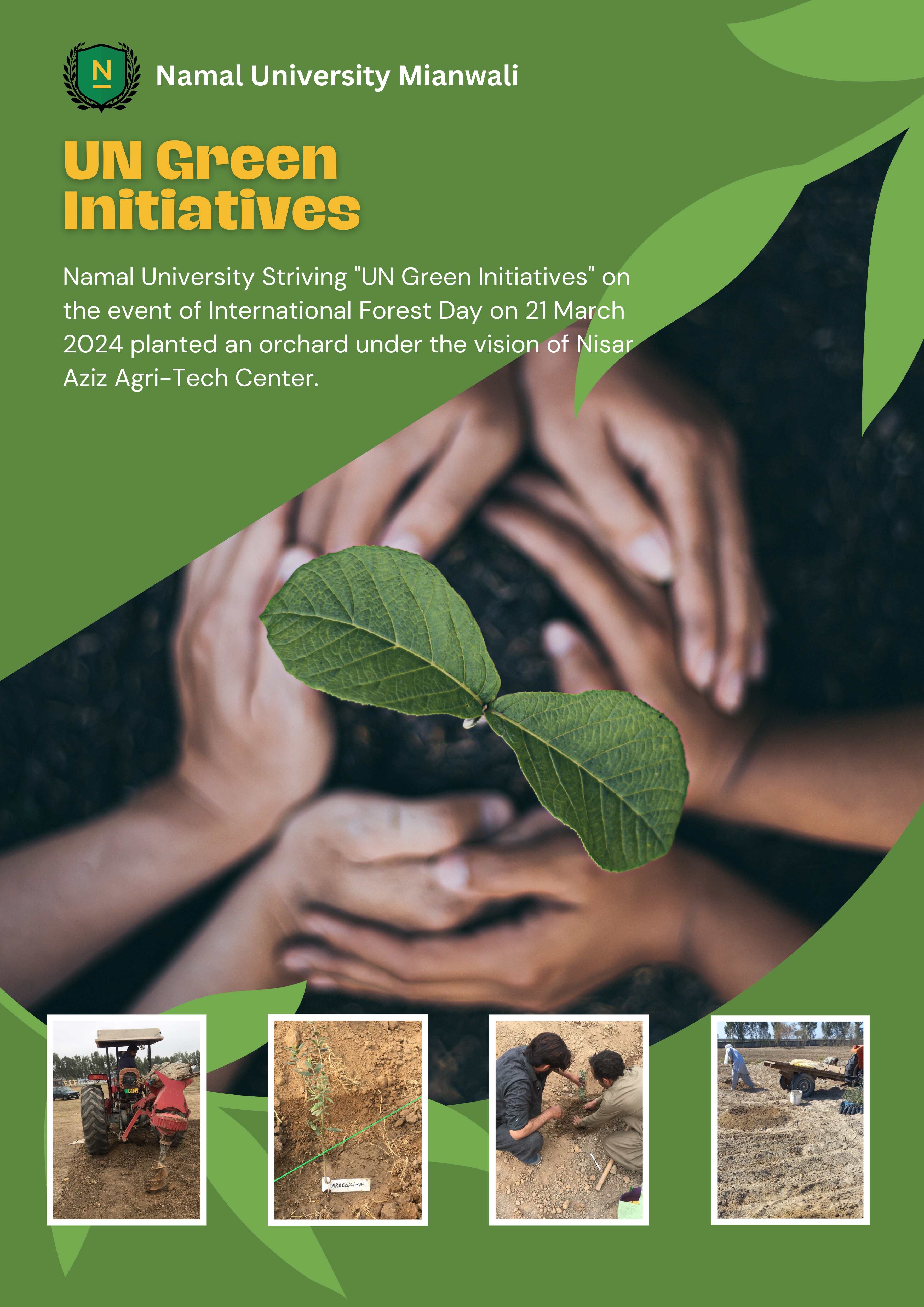 International Forest Day