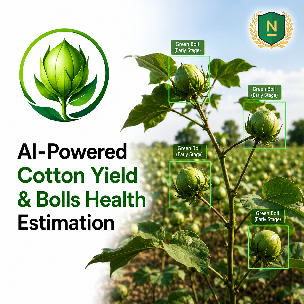 AI-Powered Cotton Yield and Bolls Health Estimation